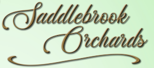 Saddlebrook logo
